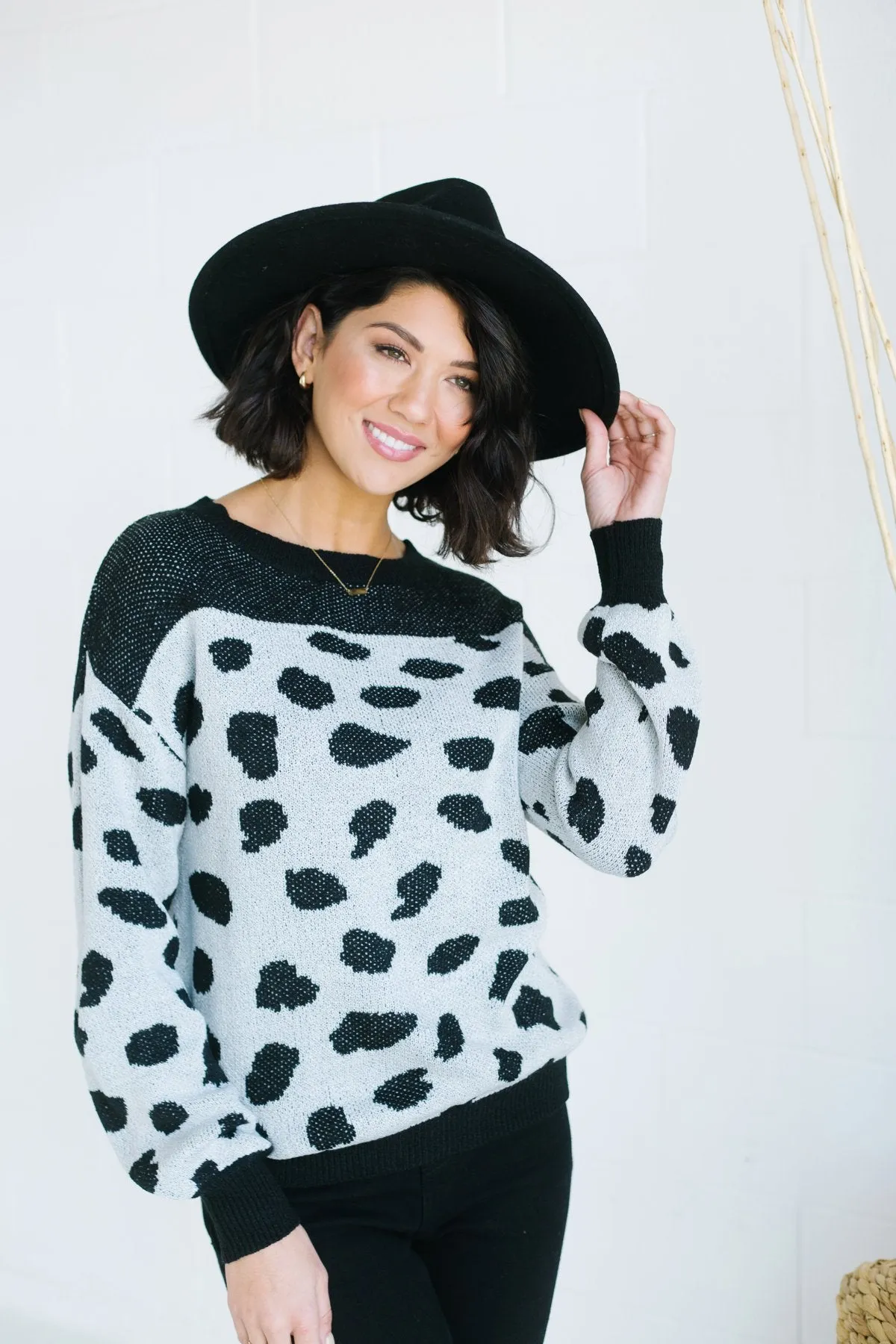 Animal Print Colorblock Sweater
