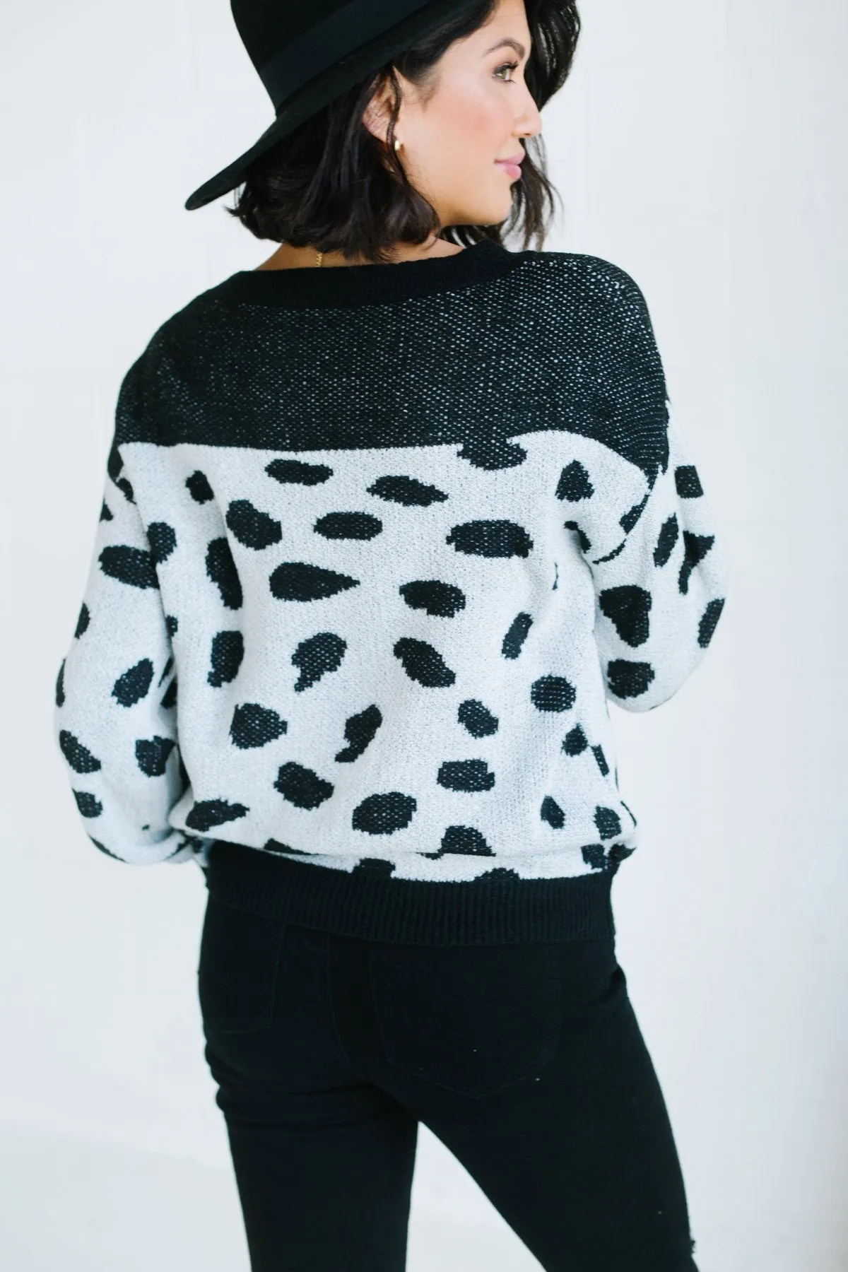 Animal Print Colorblock Sweater
