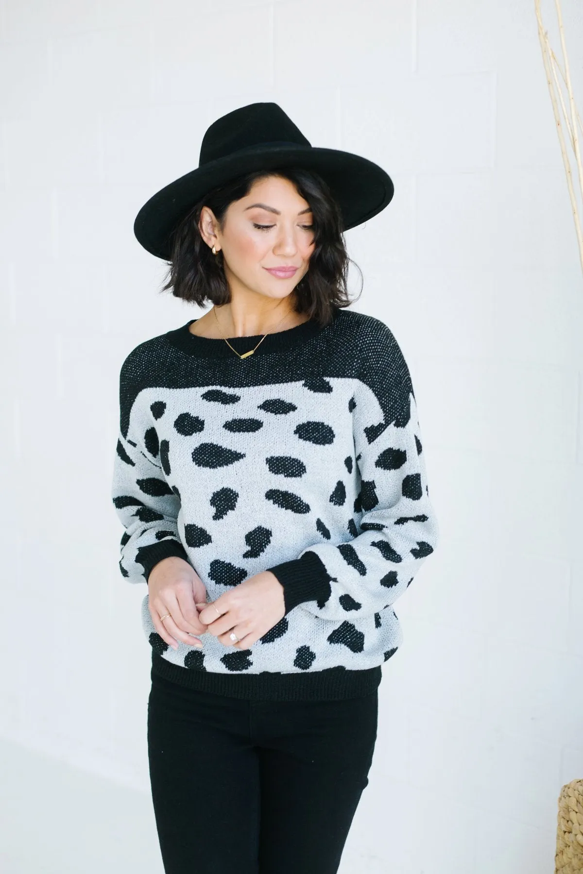 Animal Print Colorblock Sweater