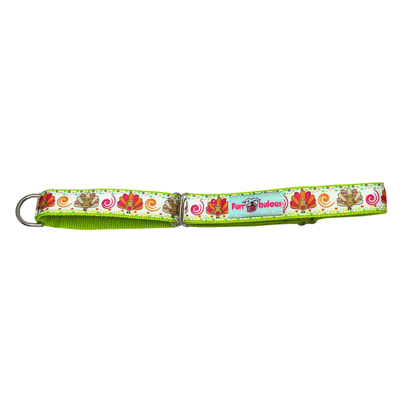 Autumn Seasonal Martingale 1" Dog Collar