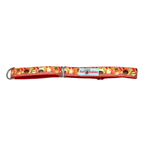 Autumn Seasonal Martingale 1" Dog Collar