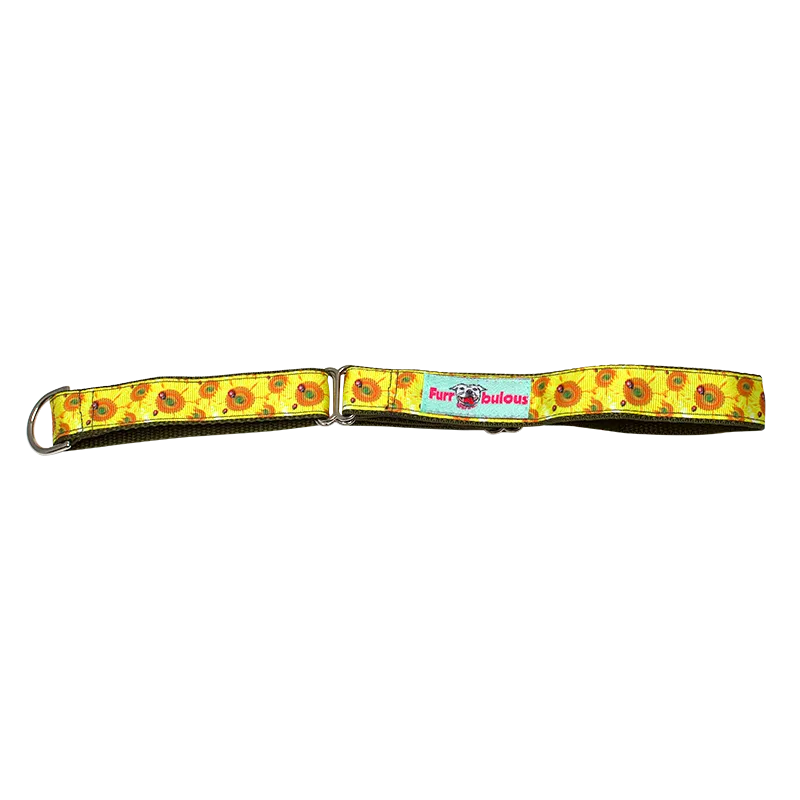 Autumn Seasonal Martingale 1" Dog Collar