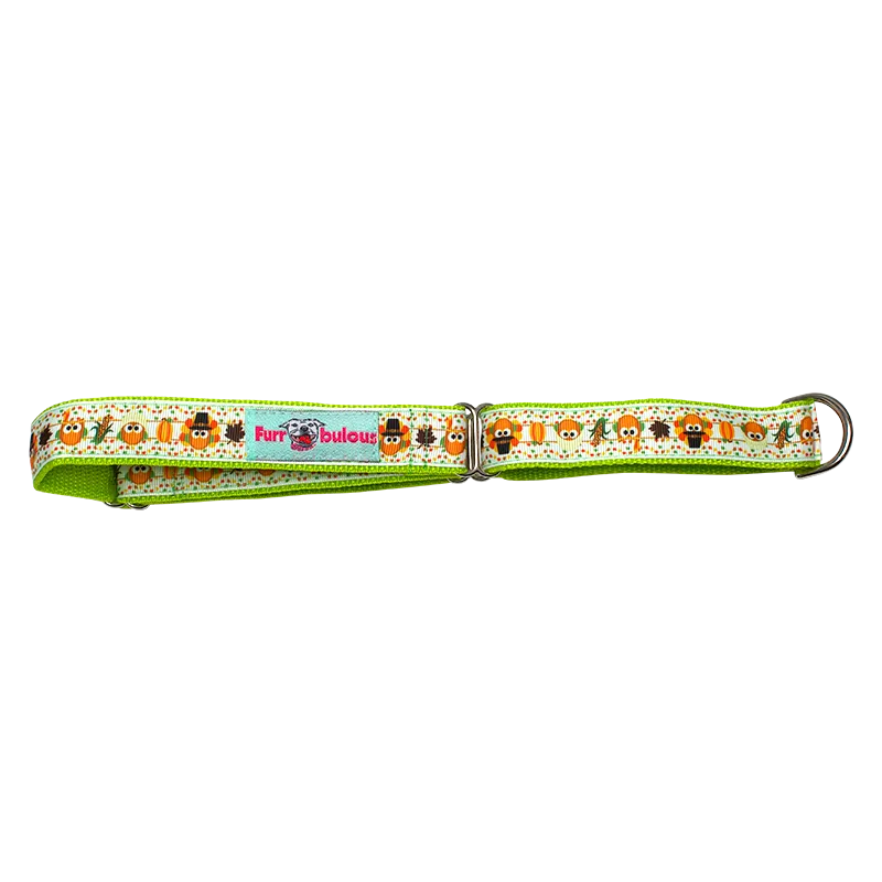 Autumn Seasonal Martingale 1" Dog Collar