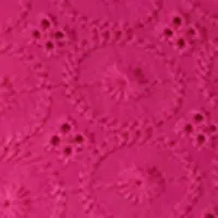 Balloon Sleeve V-Neck Eyelet Peplum Blouse