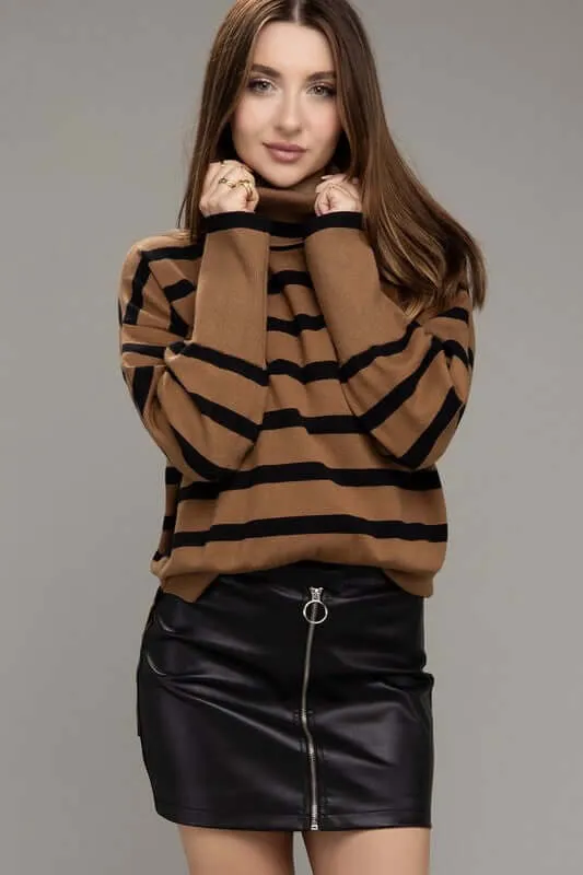 Brown Stripe Turtleneck Knit Top