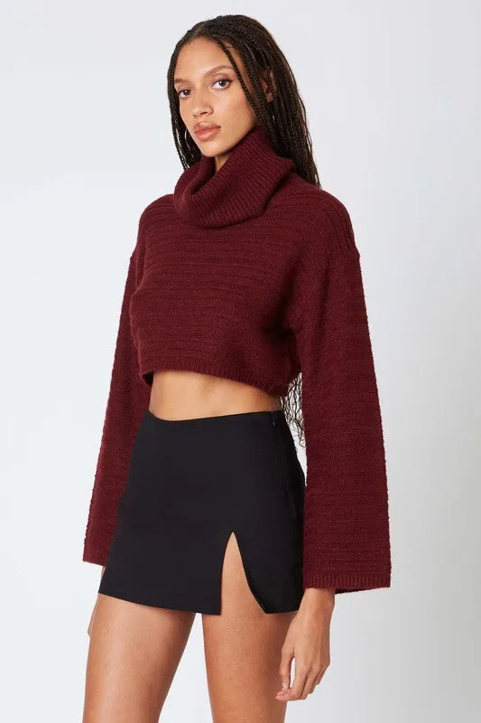 Carrie Turtleneck Sweater