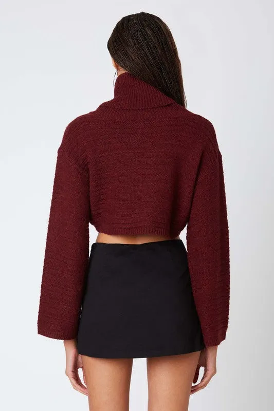 Carrie Turtleneck Sweater