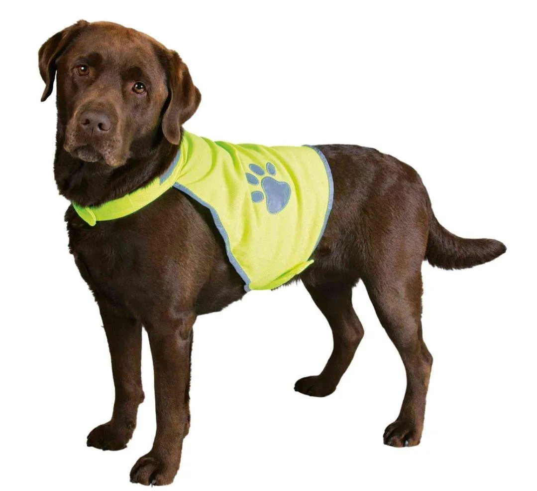 Gilet de sécurité