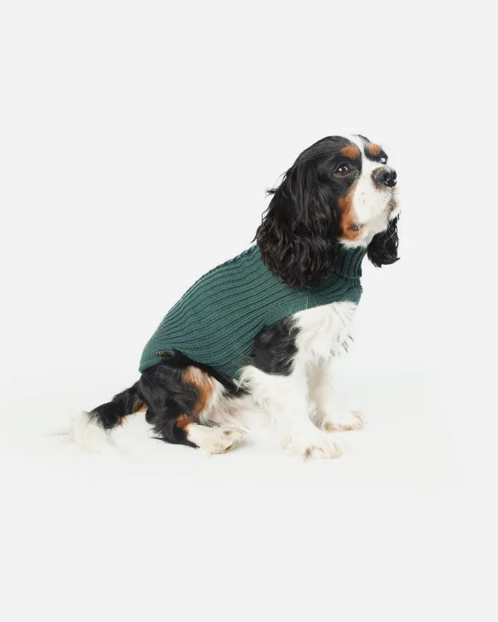 Green Knitted Sweater - Fashion Dog (art.303)