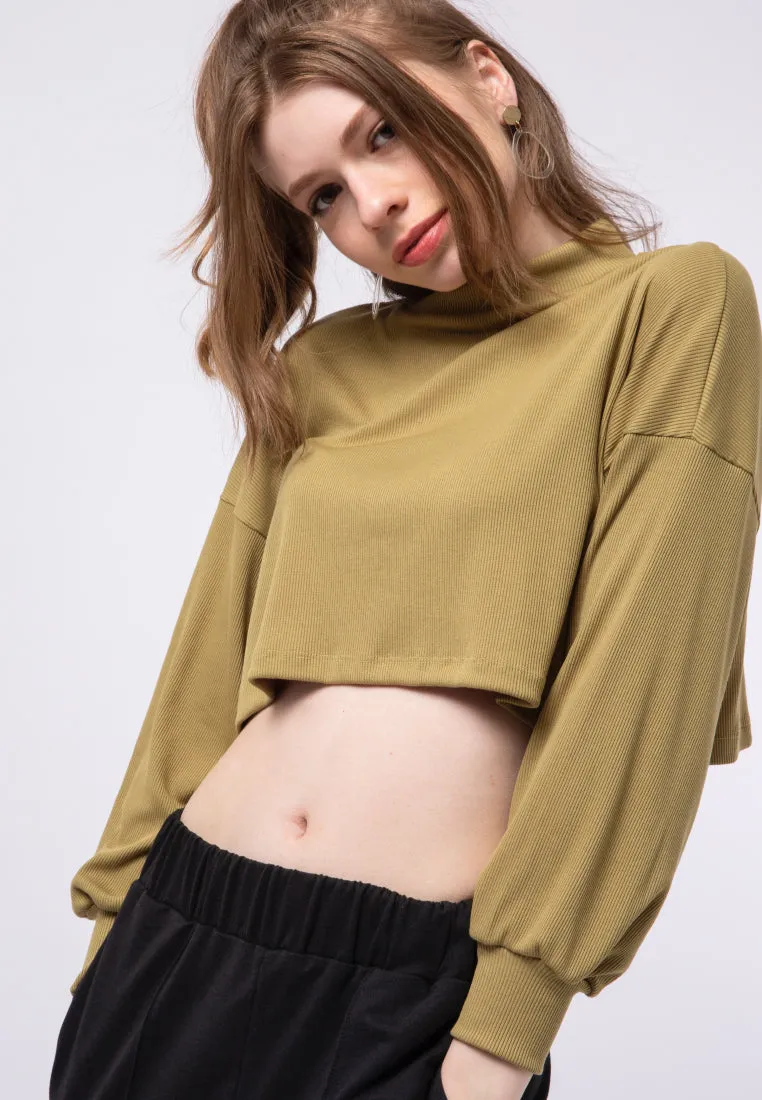 High Neck Crop Sweater
