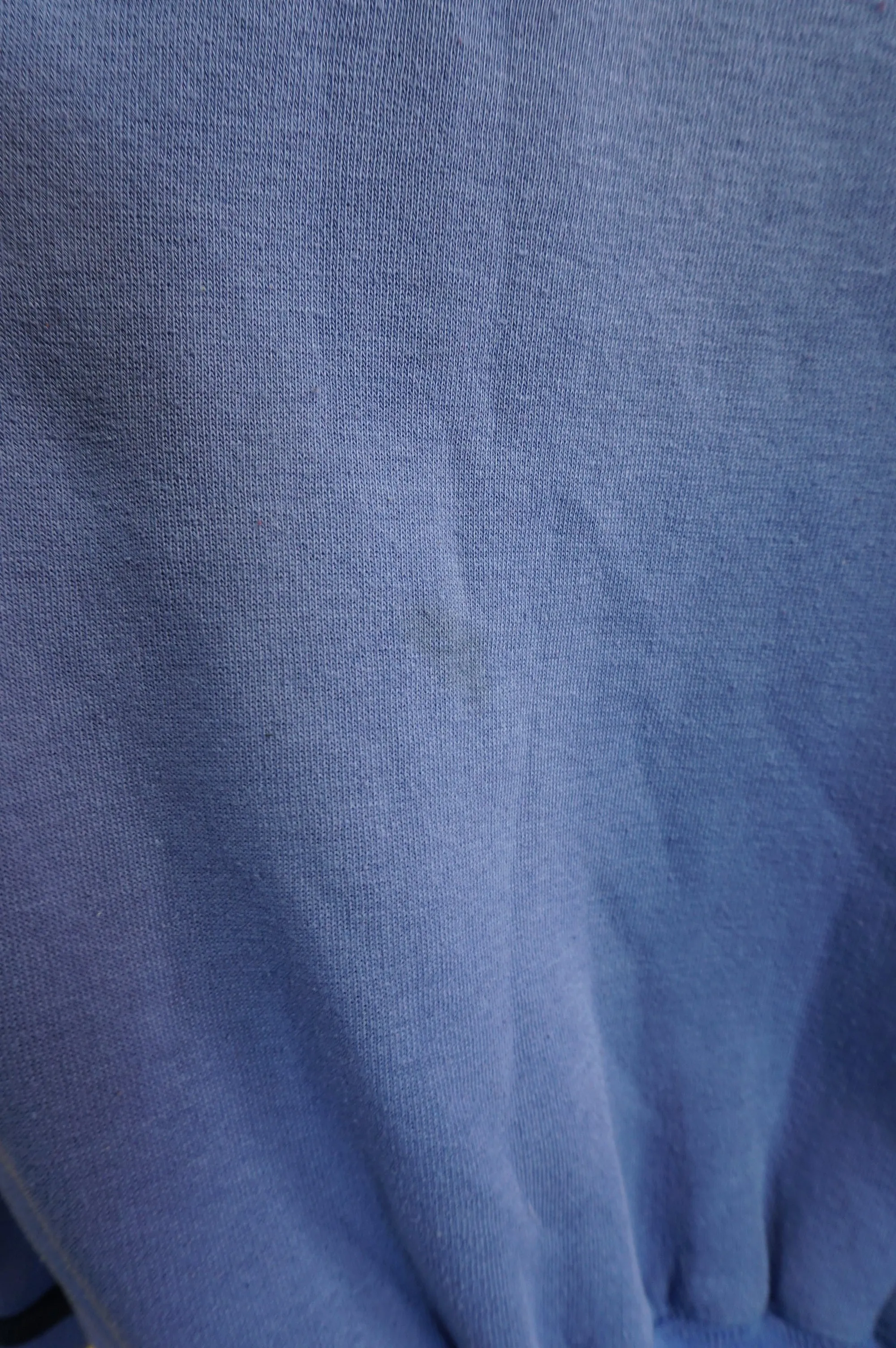 (L) 1996 Embroidered Tweety Crewneck