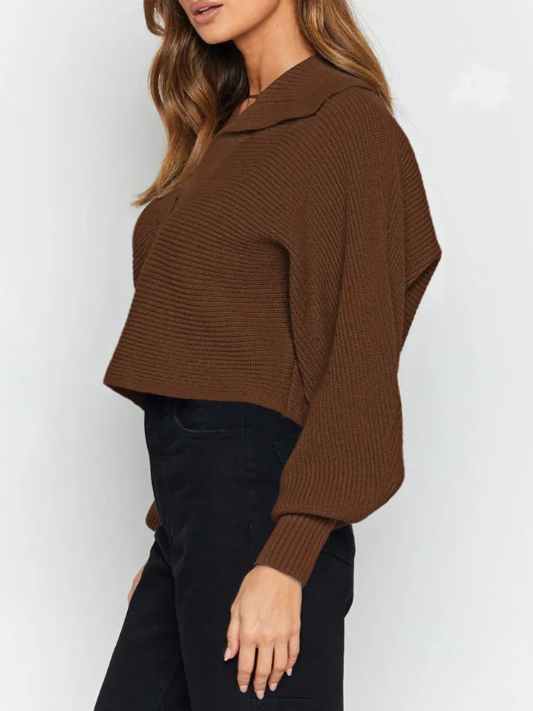 Lapel Collar V Neck Bishop Sleeve Ribbed Knit Baggy Crop Sweater