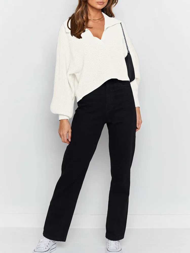 Lapel Collar V Neck Bishop Sleeve Ribbed Knit Baggy Crop Sweater