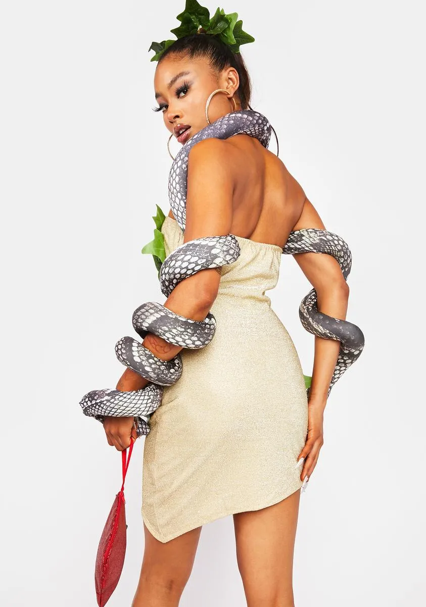 Miss Temptation Costume