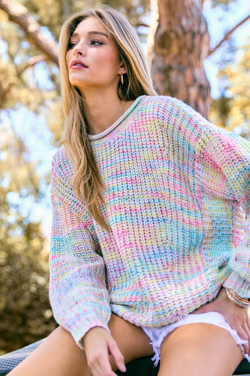 Multi Color Round Neck Sweater