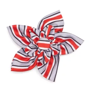 Ohio State Dog Collar Flower Helmet Stripe