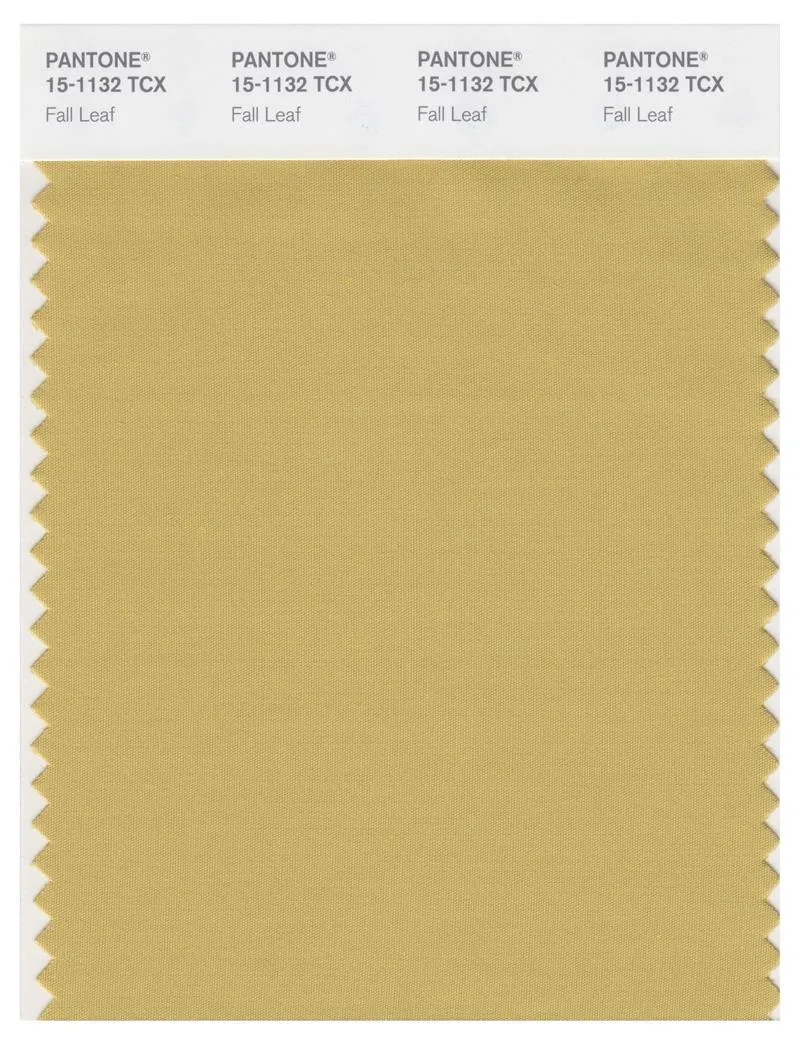 Pantone Smart 15-1132 TCX Color Swatch Card | Fall Leaf
