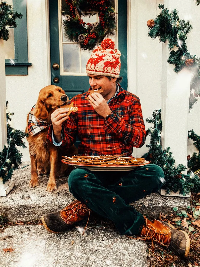 The Great Moose Cords