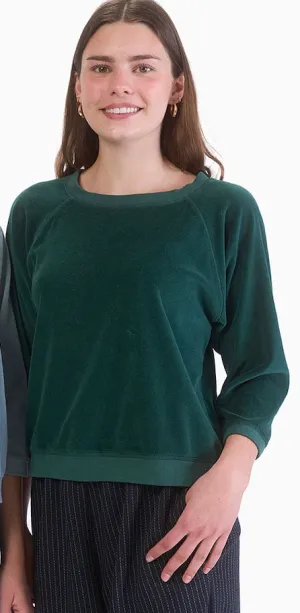 Velour Sweatshirt - Two Colors