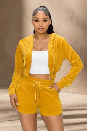Velvet 2 Piece Short Set
