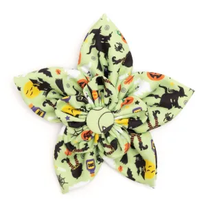 Witches Brew Dog Collar Flower