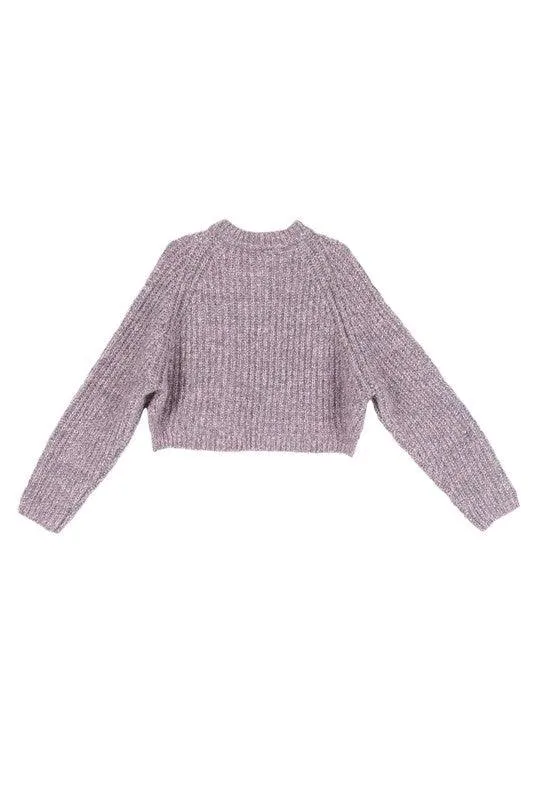 Womens Cropped Melange Sweater Top