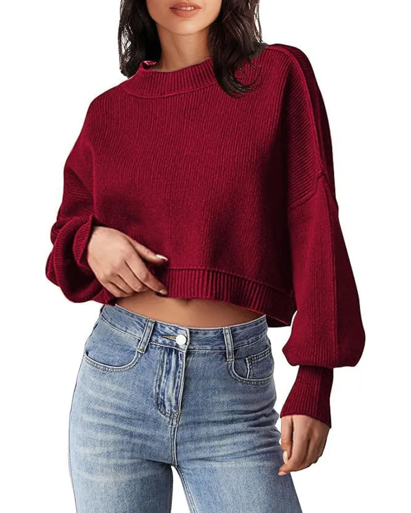 Zeagoo Womens 2024 Fall Crewneck Cropped Sweater