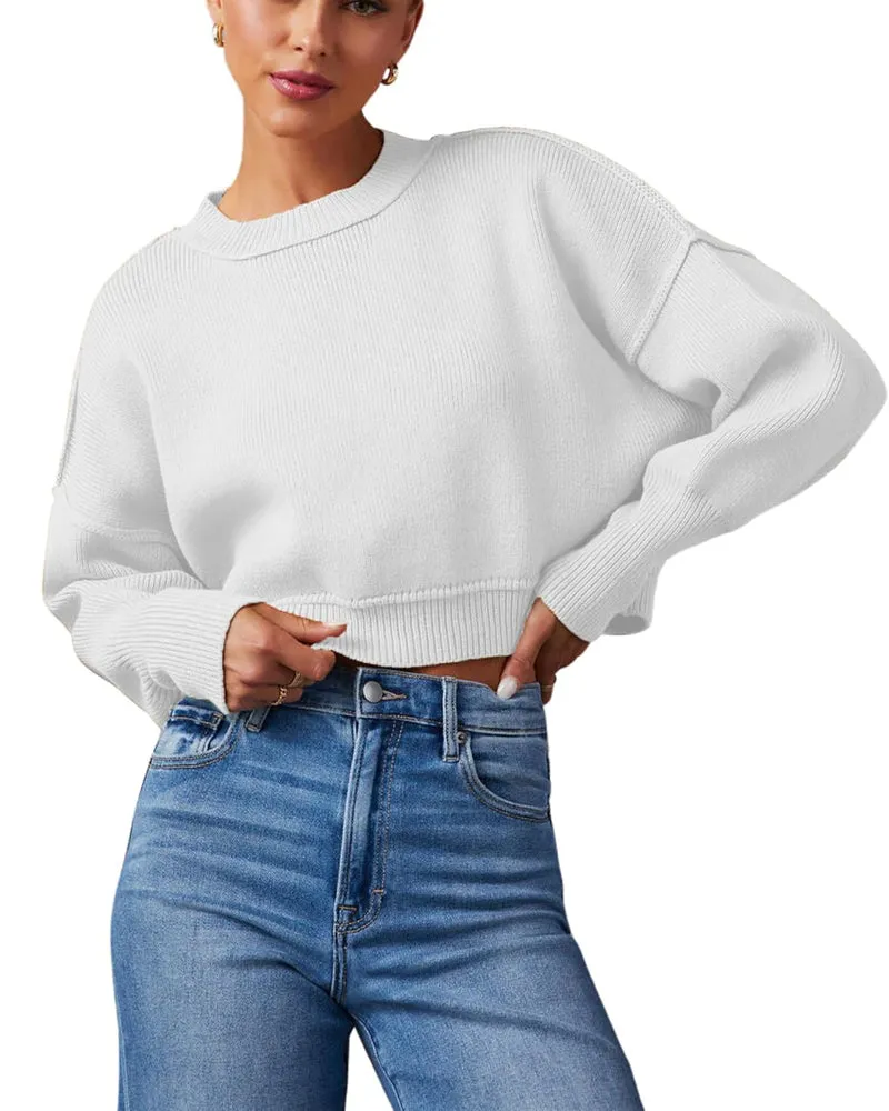 Zeagoo Womens 2024 Fall Crewneck Cropped Sweater